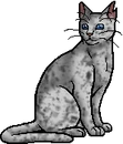 Ashfur (TC).warrior.png (21 KB) Warrior Version