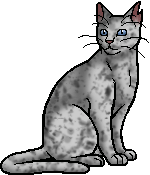 Ashfur (TC) - Warrior cats by CreativeCheetah on DeviantArt