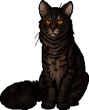 Brambleclaw, Warriors Wiki