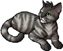 StarClan Version