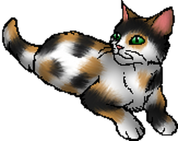 Who would you bring back to life? (Art is on the warriors wiki) : r/ WarriorCats