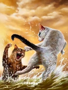 Simplified Chinese Language Edition Textless Cover