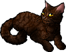 StarClan Version