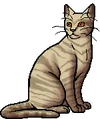 Dawnpelt.warrior.png (24 KB) Dawnpelt.warrior