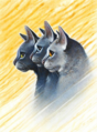 Stonefur.FG-6.png