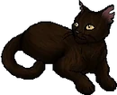 StarClan Version