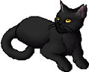 StarClan Version