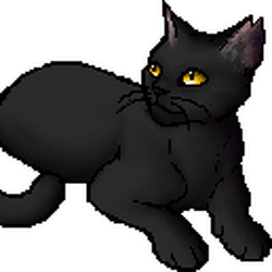 Cats of the Clans, Warriors Wiki