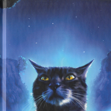 Graystripe Warriors Wiki Fandom