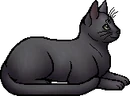 Elder Version
