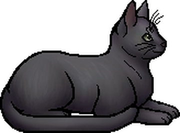 Warriors: Animated on X: Warrior Cat of the Day #43 - Ashfur! This is the  official Warriors Animated design for Ashfur of ShadowClan, as he appears  in Into The Wild ✨ #wcotd #