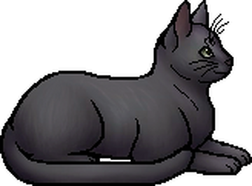 Ashfur (ShC), Warriors Wiki