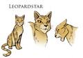 Concept artwork for Leopardstar