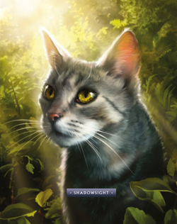 Shadowsight  Warrior cats art, Warrior cats, Warrior cat