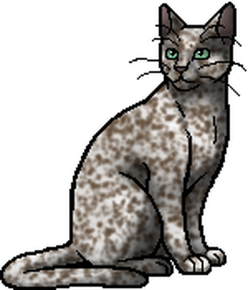 A Starless Clan, Warriors Wiki