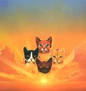 English Language Edition Textless Cover