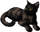 StarClan Version