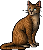 Thornclaw's warrior image: a slightly fancy tabby pattern