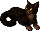 Beetail.star.png (19 KB) StarClan Version