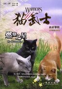 Simplified Chinese Language Edition Released in China