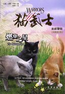 Traditional Chinese Language Edition Released in Taiwan