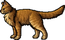 Lionblaze, Warriors Wiki