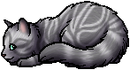 Kit Version