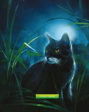At first an orphaned kit saved by the Clans, she became the most integral spy into the Kin there was, returning the favor and saving the Clans.