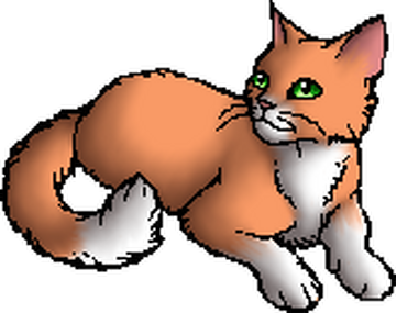 Lost Warrior Cats Facts — according-to-warriors-wiki: According to