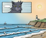 Sun-drown-place.GA.png (461 KB) The sun-drown-place in Graystripe's Adventure