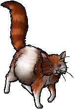 Lightningpelt, Warriors Wiki