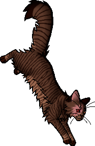 Cats with boots discount