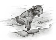 Rushpaw (BotC).FG-4.png (191 KB) Rushpaw training in the river in Battles of the Clans