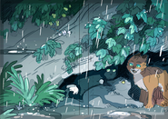 Concept artwork for alternate inside cover