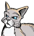 Waspwhisker.SS.png (284 KB) Waspwhisker in SkyClan and the Stranger
