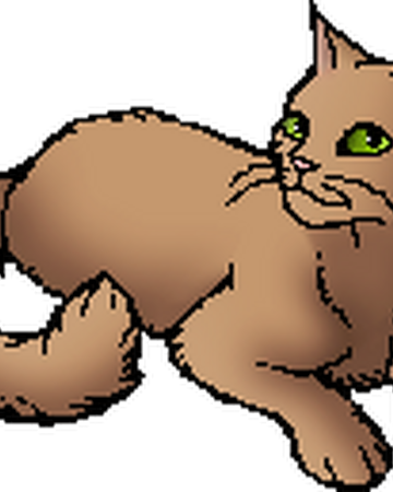 Appledusk Warriors Wiki Fandom Appledusk Warriors Wiki Fandom