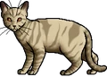 Dawnpelt.ghost.png (33 KB) Dawnpelt.ghost
