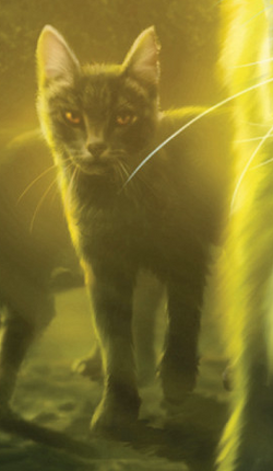 Flamepaw (TC), Warriors Wiki, Fandom