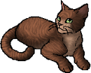 StarClan Version