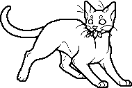 Guess that cat based off the oddly designed Warriors Wiki sprite