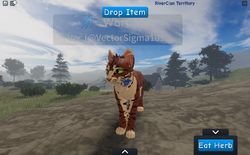 The Rise of Scourge, Warrior Cats Ultimate Edition, WCUE Rp, Roblox