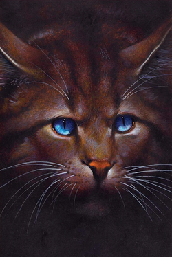 Hawkfrost