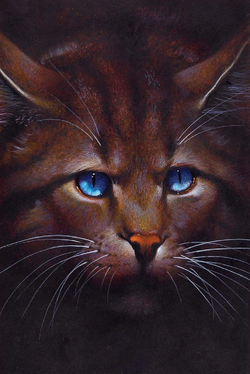 Brambleclaw, Warriors Wiki