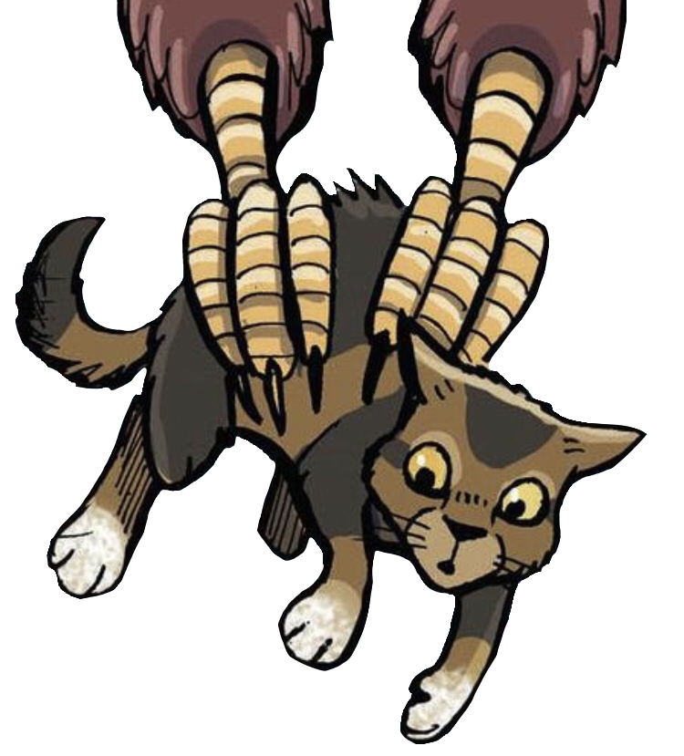 Warrior cat, Warrior cats, Cat wiki