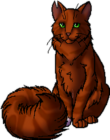 Ashfur the Kittypet