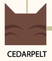 Cedarpelt (RC)'s icon on the Warriors family tree