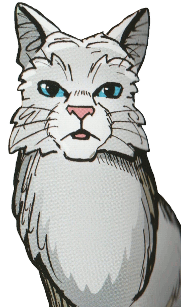 Thunderclan Warrior Cat Wiki Fandom Powered By Wikia - Warrior