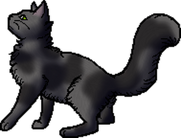 A Starless Clan, Warriors Wiki