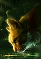 Lionblaze on the reprinted cover of Dark River