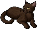 StarClan Version